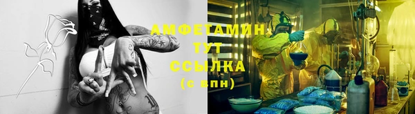 дмт Аркадак