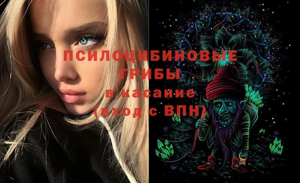 стафф Рославль