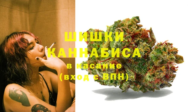 дмт Аркадак