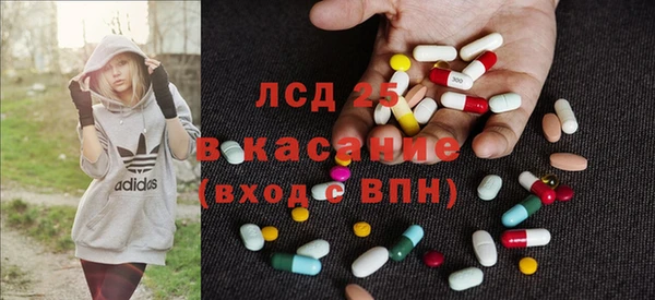 дмт Аркадак