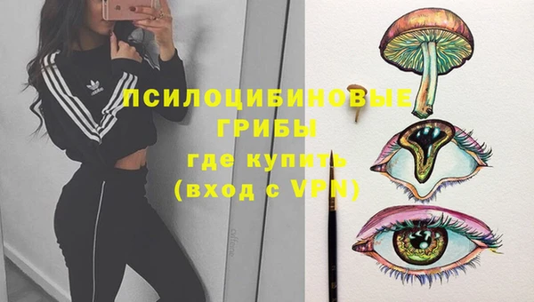 прущая мука Армянск