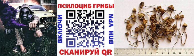 Галлюциногенные грибы мицелий Бологое